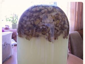 Kvas banane medicinale e bërë në shtëpi sipas Bolotov